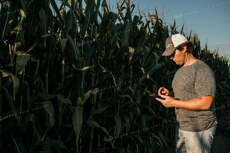 Farmer with iPad in Corn Field 3166
