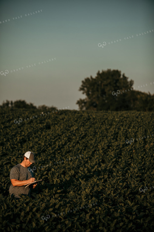 Farmer in Soybean Field with Notebook 3178