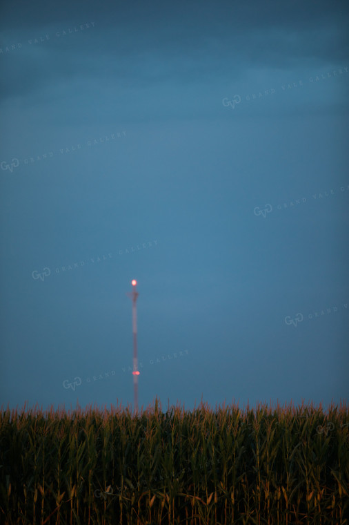 Corn Field Dark Sky 3217