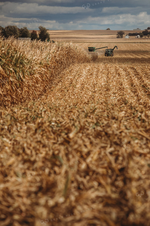 Combine Harvesting Corn and Unloading On the Go onto Auger Wagon 3326