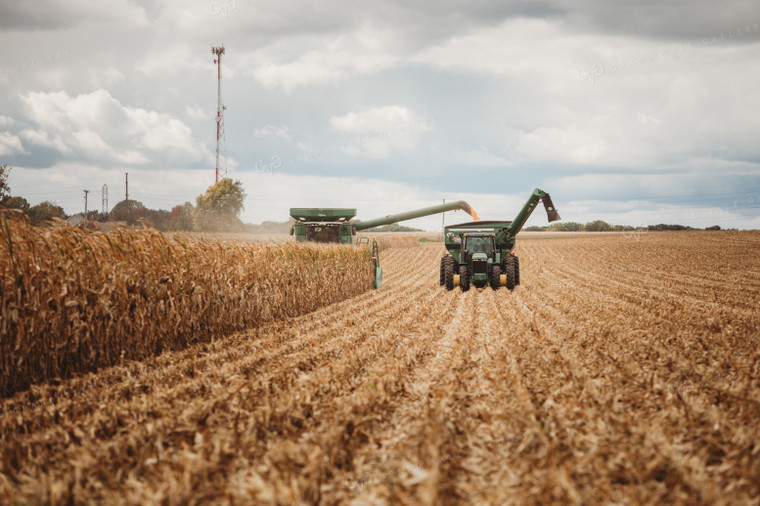 Combine Harvesting Corn and Unloading On the Go onto Auger Wagon 3341