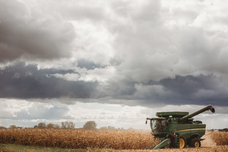 Combine Harvesting Corn with Stormy Sky 3343