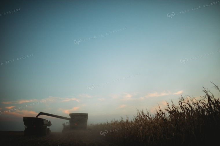 Combine Picking Corn and Filling Grain Cart at Dusk 3395