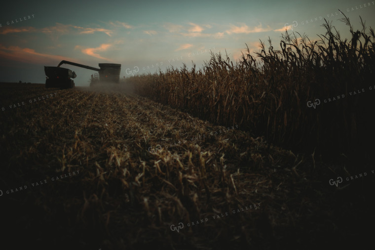 Combine Picking Corn and Filling Grain Cart at Dusk 3396