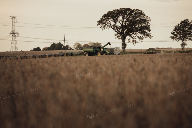 Grain Cart Unloading into Semi Truck 3441