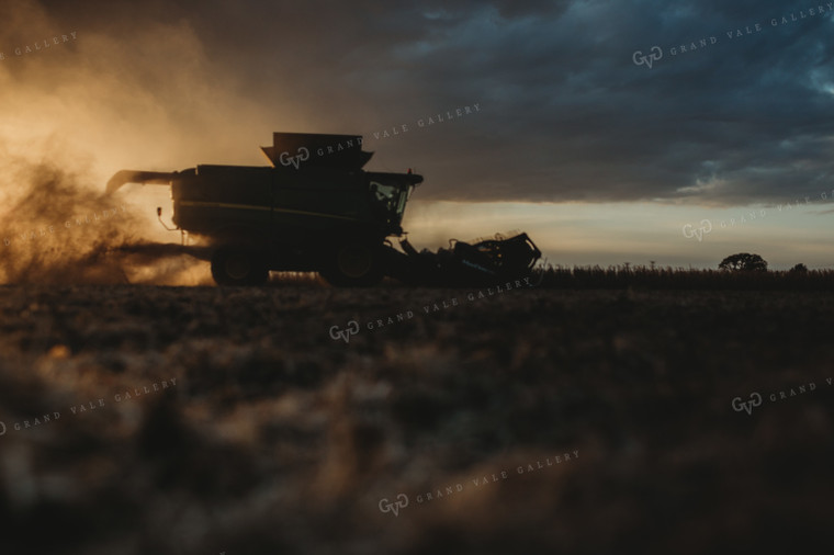 Combine Cutting Soybeans at Sunset 3454