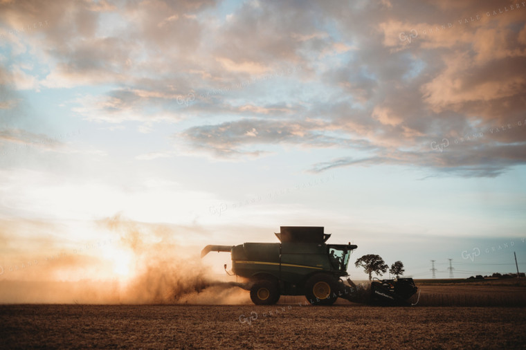 Combine Harvesting Soybeans at Sunset 3473