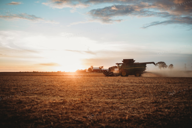 Combine Harvesting Soybeans at Sunset 3474