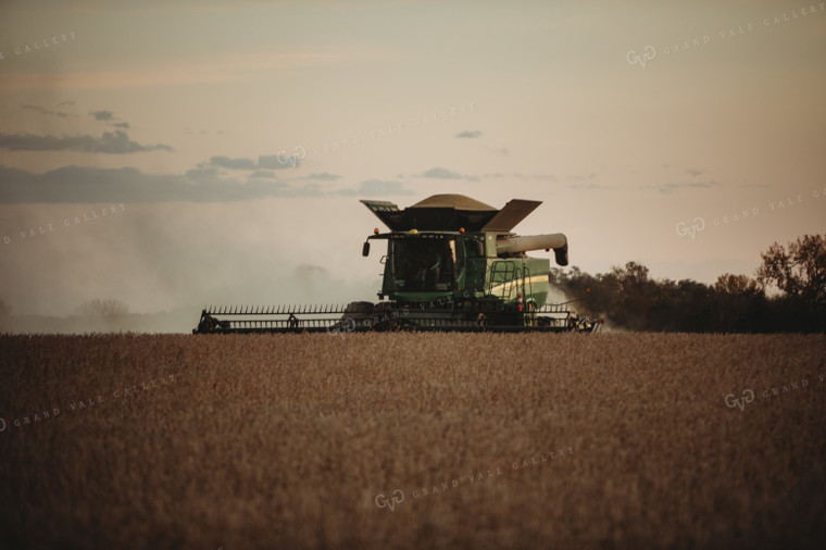 Combine Harvesting Soybeans at Sunset 3476