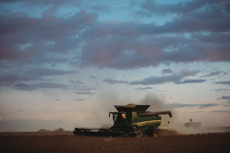 Combine Harvesting Soybeans at Sunset 3478