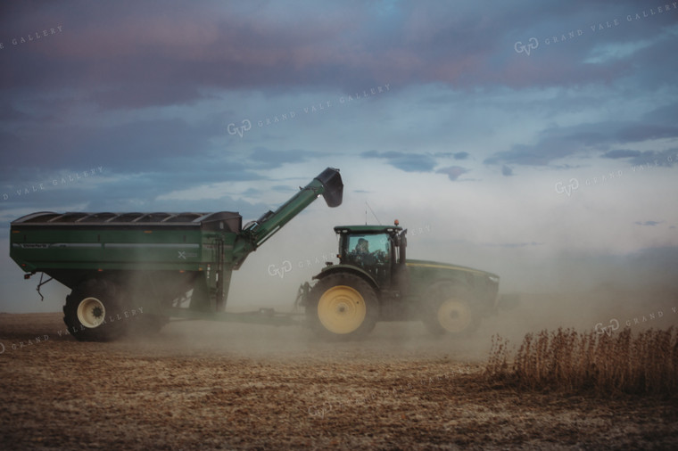 Grain Cart in Soybean Field at Dusk 3482