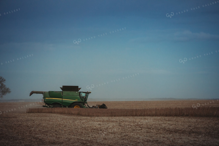 Combine Harvesting Soybeans at Dusk 3488