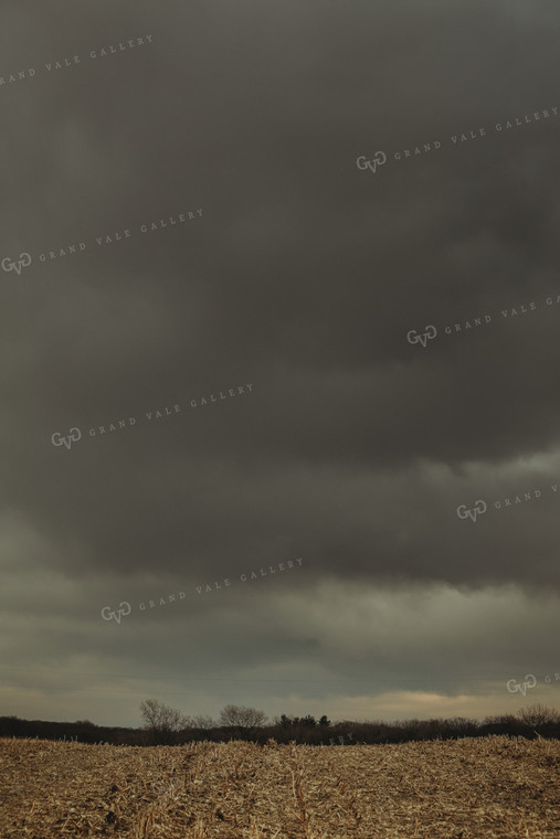 Harvested Corn Field and Storm Clouds 3649