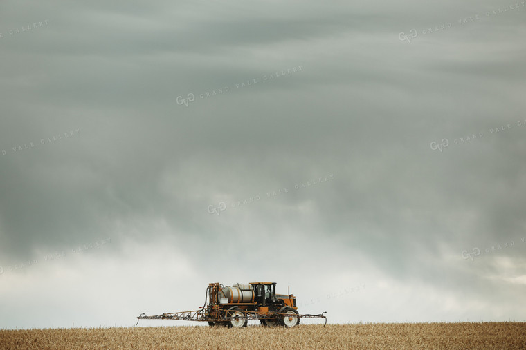 Self Propelled Sprayer Spraying in Corn Field 3657