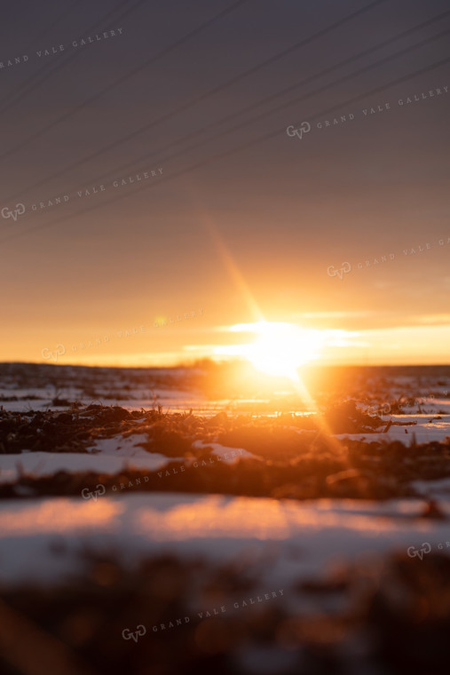 Sunrise Over Snowy Tilled Corn Field 3803