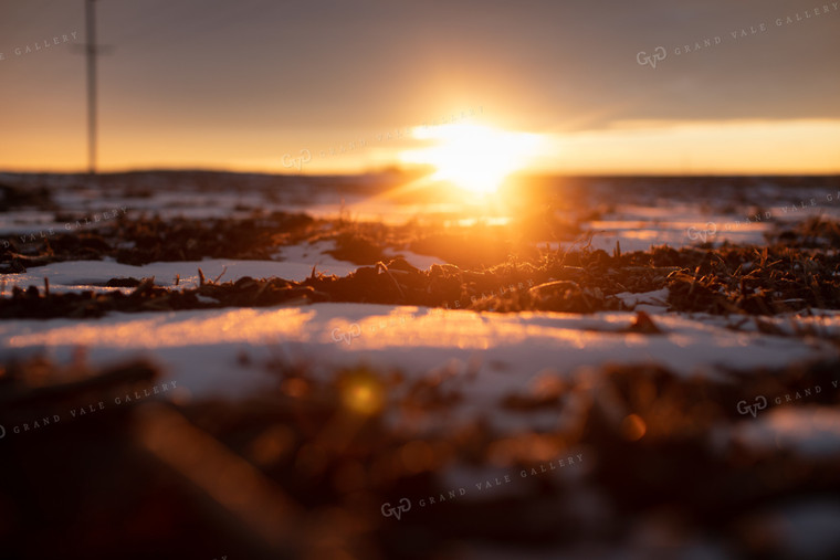 Sunrise Over Snowy Tilled Corn Field 3801