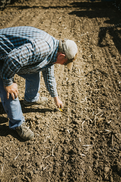 Farmer Checking Seed Depth 4280