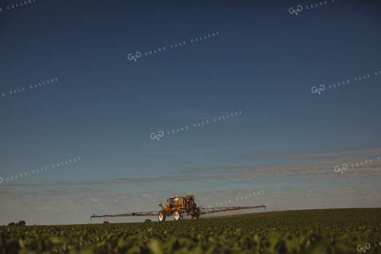 Spraying Soybeans 4339