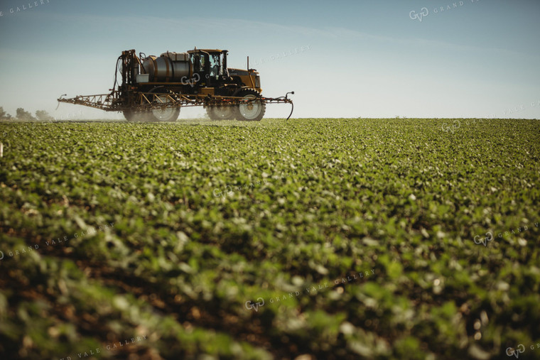 Spraying Soybeans 4363