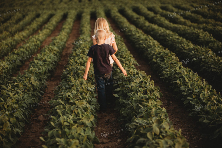 Farm Kids in Soybean Field 4563