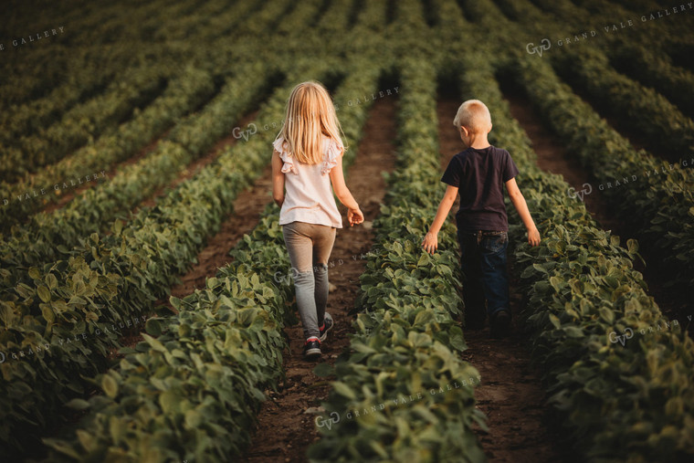 Farm Kids in Soybean Field 4564