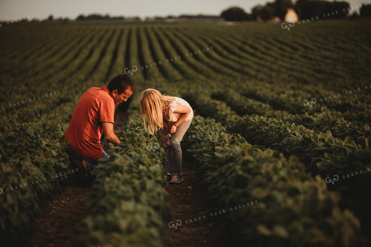 Farmer and Farm Kid Checking Crops in Soybean Field 4583