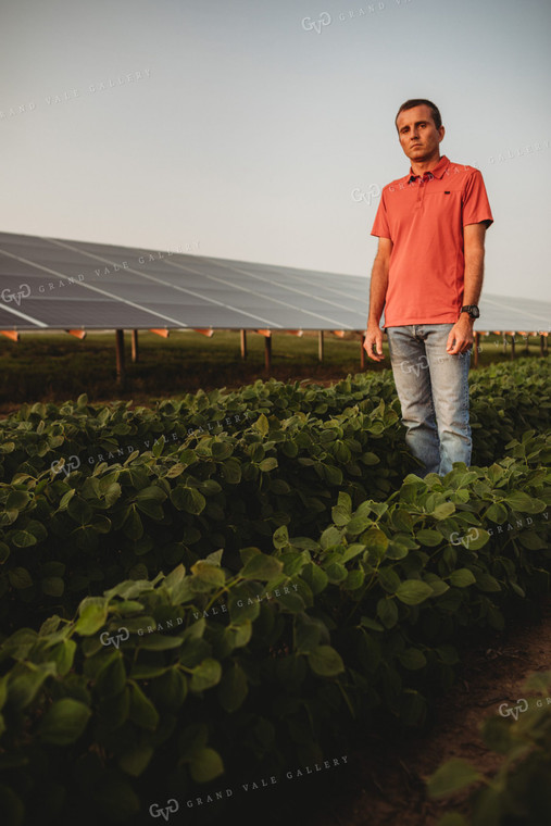 Farmer with Soybean Field and Solar Panels 4610