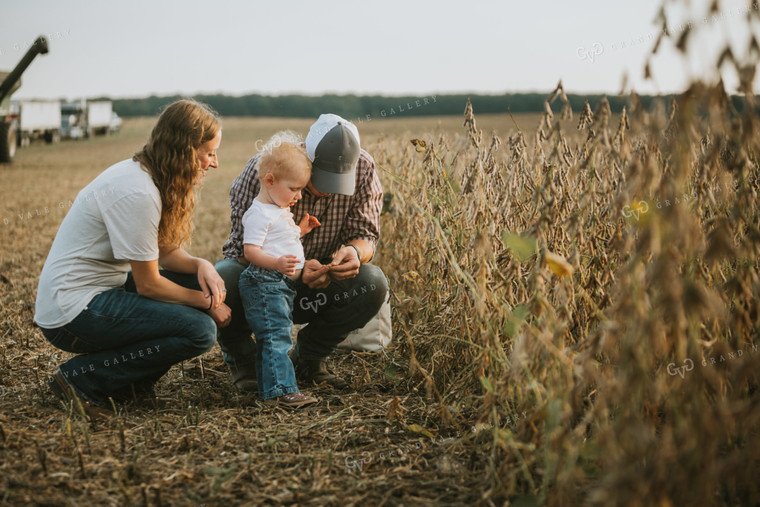 Farm Family Testing Soybean Moisture 4818