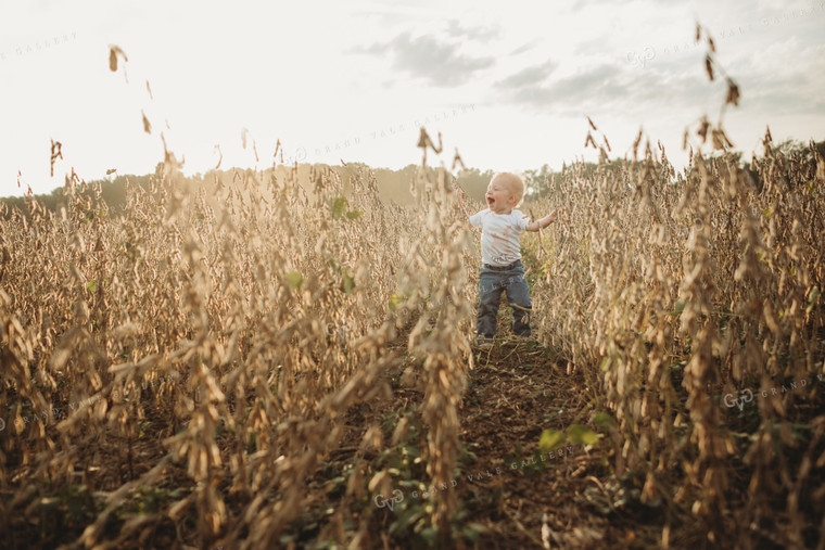 Farm Kid in Soybeans 4823