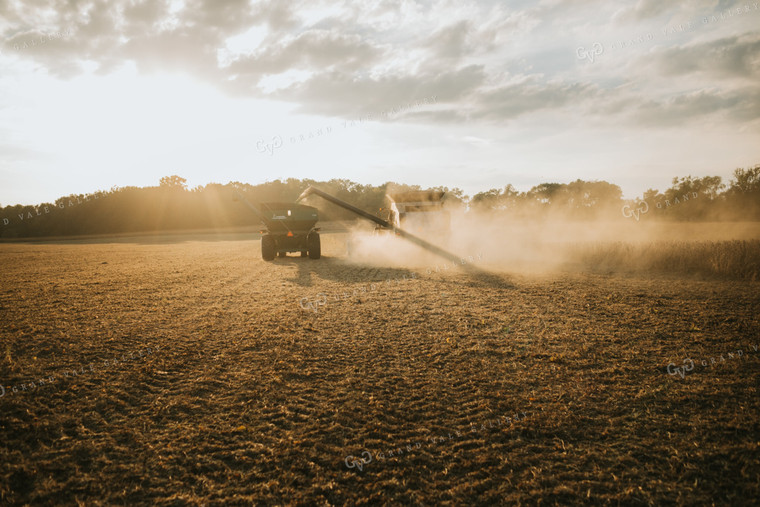 Combine Unloading into Grain Cart 4843