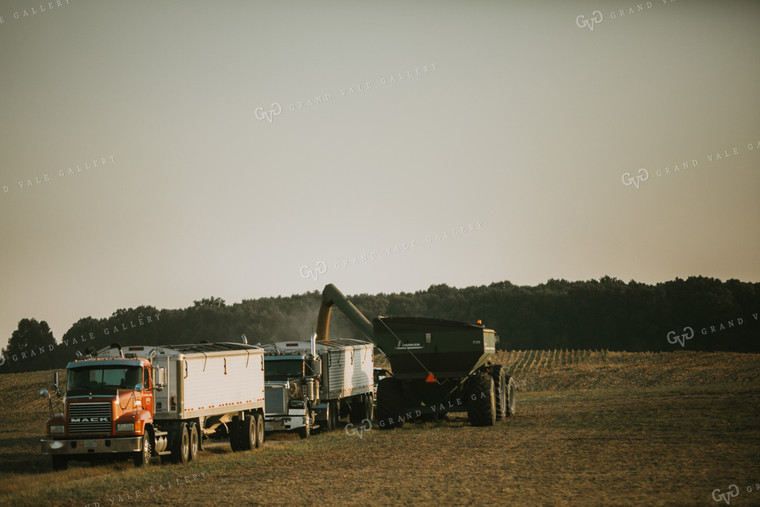 Grain Cart Filling Semi Trucks with Soybeans 4851