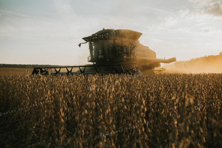 Combine Cutting Soybeans at Sunset 4857