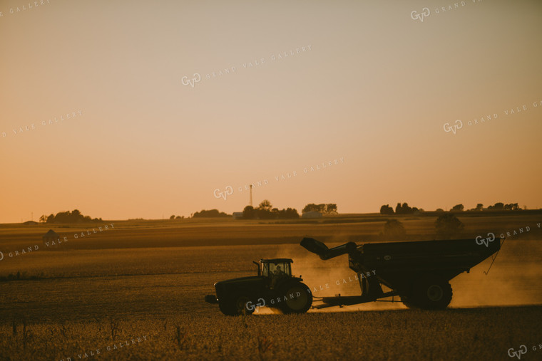 Tractor and Grain Cart Silhouette in Soybean Field 4750