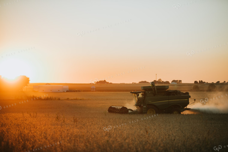 Combine Cutting Soybeans at Sunset 4762