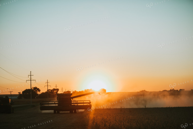 Combine Cutting Soybeans at Sunset 4763