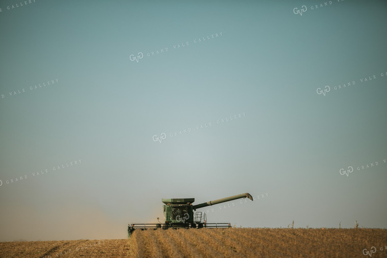 Combine Cutting Soybeans 4776