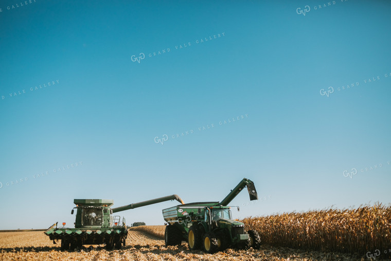 Combine Unloading Corn into Grain Cart 4672