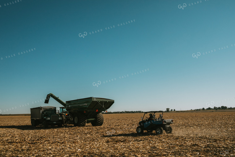 Farmer Driving Side by Side Corn Harvest 4680