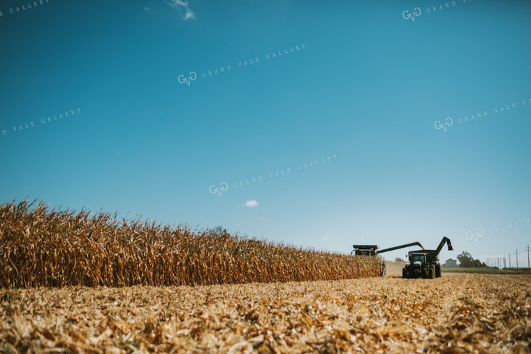 Combine Unloading Corn into Grain Cart 4692
