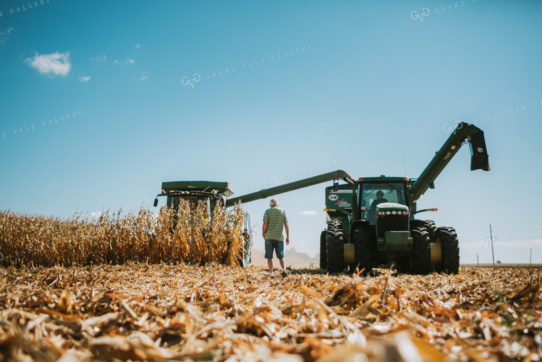 Farmer Grandpa Watching Corn Harvest 4700