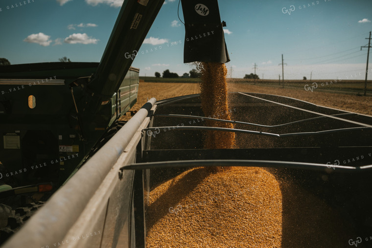 Grain Cart Dumping Corn into Truck 4710