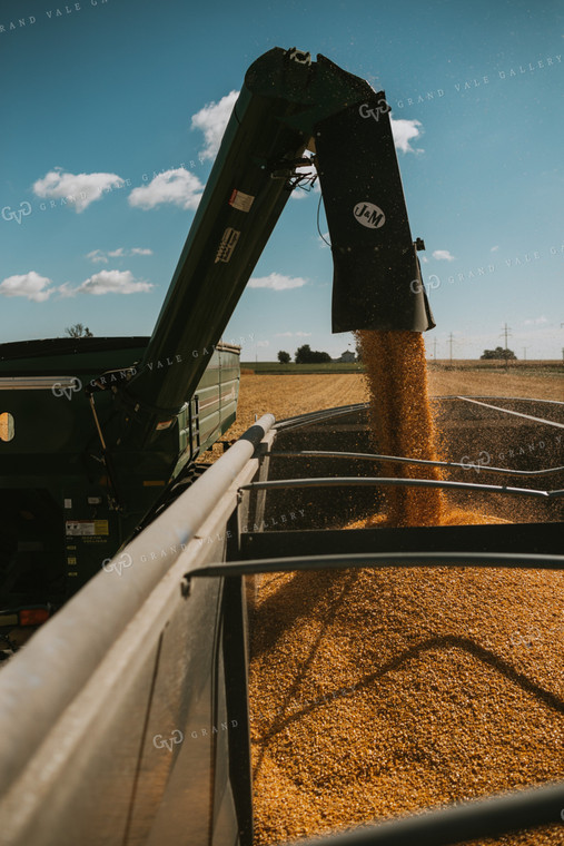 Grain Truck on Scale 4711