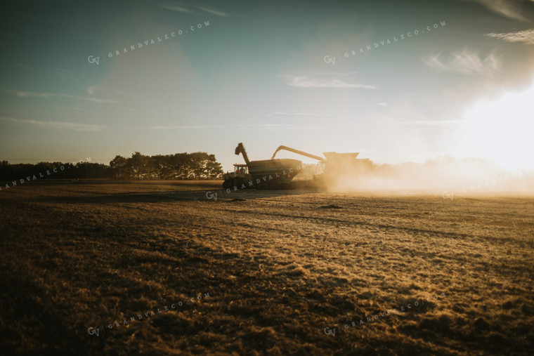 Combine Loading Auger Cart During Soybean Harvest 5077