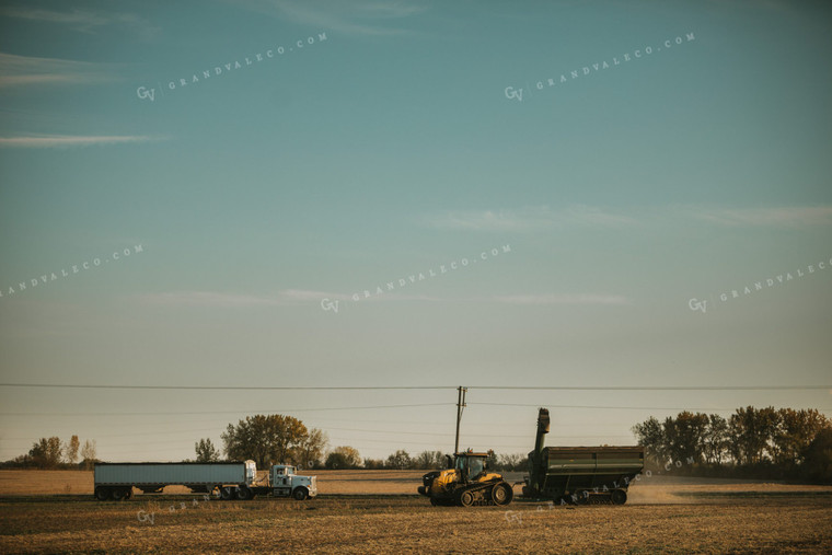 Auger Wagon and Semi During Soybean Harvest 5079