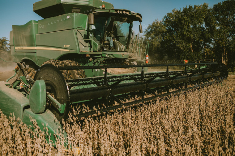 Combine Cutting Soybeans 5235