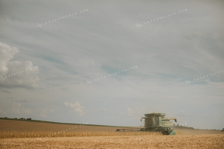 Combine Harvesting Soybean Field 5239