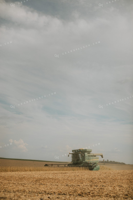 Combine Harvesting Soybean Field 5240
