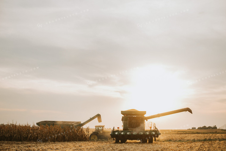 Combine and Auger Cart Harvesting Corn Field 5261