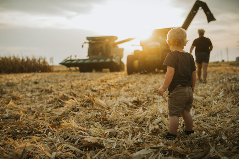 Farm Kid and Parent in Corn Field with Machinery 5270