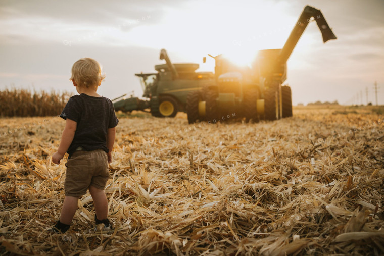 Farm Kid in Corn Field with Machinery 5271